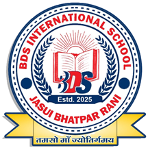 BDS International School logo
