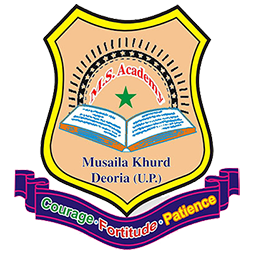 MS Academy logo